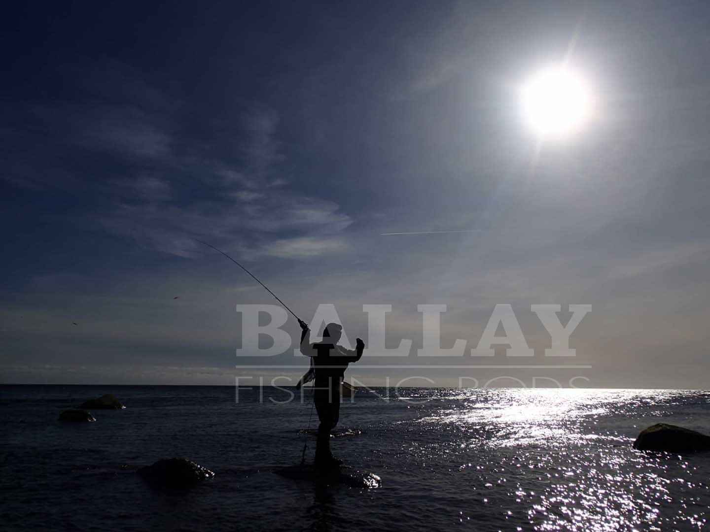 Ballayrods.com - Rybárske prúty na mieru